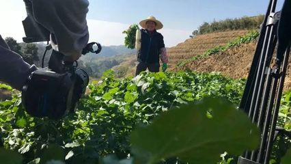 晉安區(qū)鵝鼻村 家門(mén)口的科普陣地培育現(xiàn)代新農(nóng)人